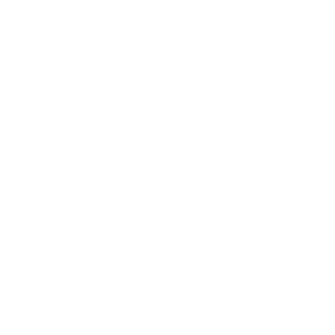 Patterned Snake Cobra